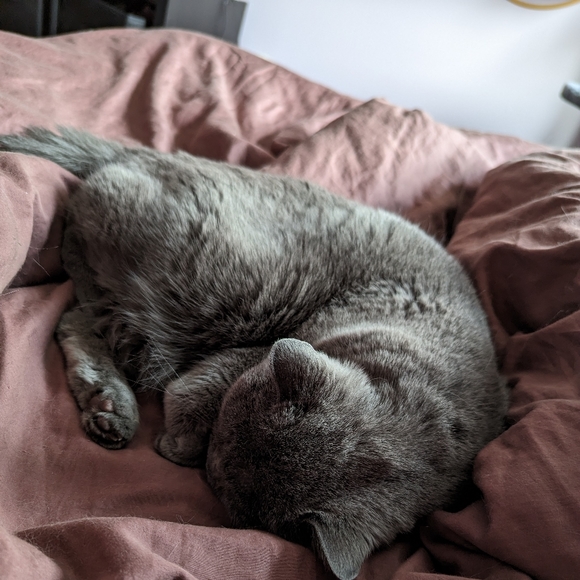 Meet your Posher, Jody - Picture 1 of 1